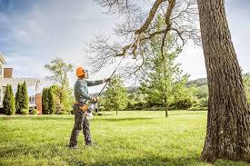 How Our Tree Care Process Works  in Fort Dix, NJ